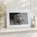 Personalised Pet Photo Print, Custom Pet Portrait, Pet Memorial Gift, Gift for Pet Lover, Landscape White Framed Print with Mount
